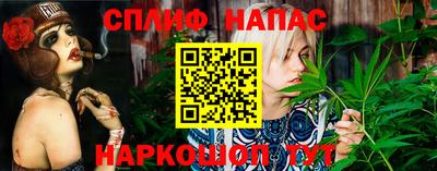 СК Нальчик