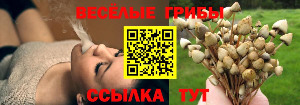 Феодосия  цена наркотик  Вход с VPN  Галлюциногенные грибы мицелий 